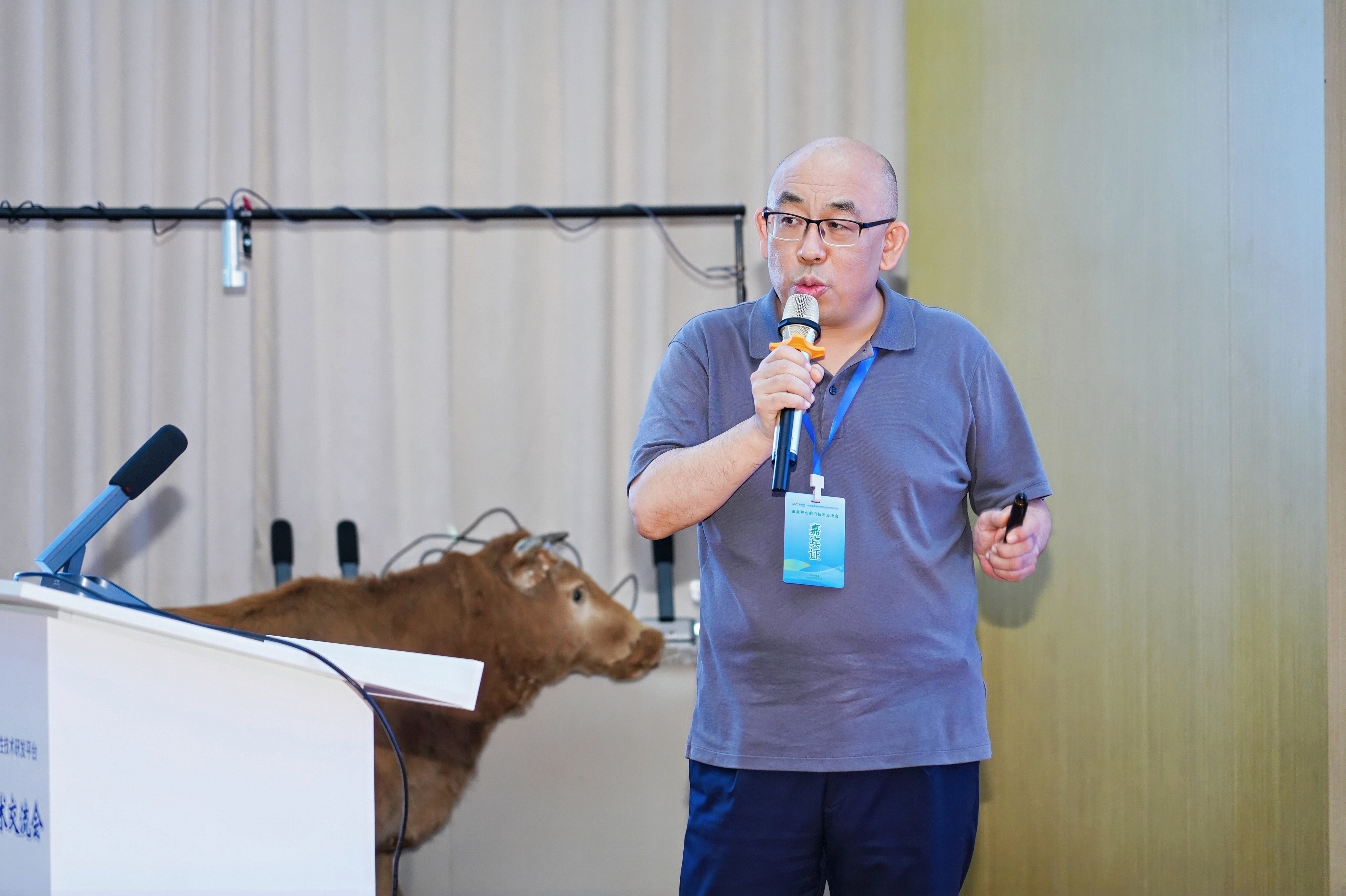 规模化牧场智能尾环实测：智慧养殖的效率升级还是概念噱头？